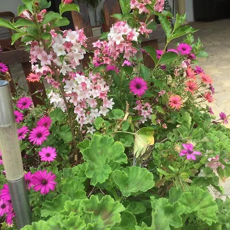 Bbmontejunto Cadaval