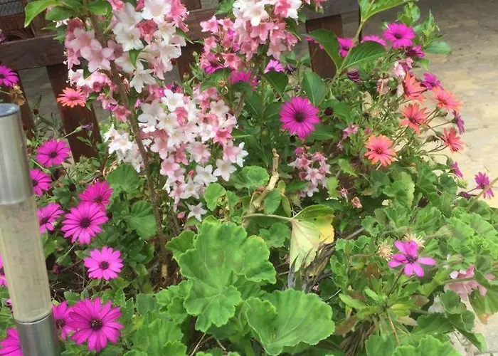 Bbmontejunto Cadaval