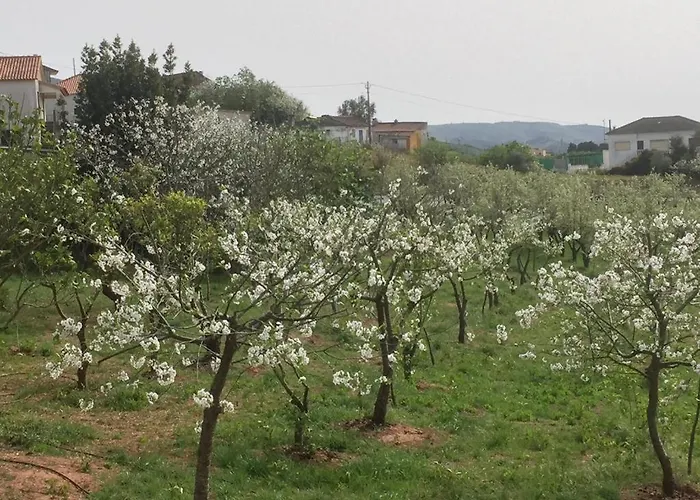 Bbmontejunto Отель типа 