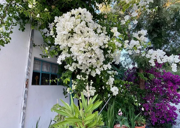 Bbmontejunto Отель типа 